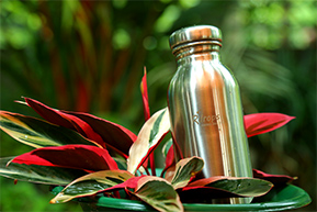 Rdrops Stainless Steel Bottle - Nature Leaves